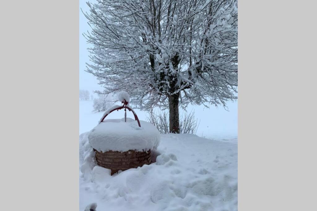 T2 Tout Confort, Depart Ski De Fond Depuis Le Jardin Apartament Les Rousses Zewnętrze zdjęcie