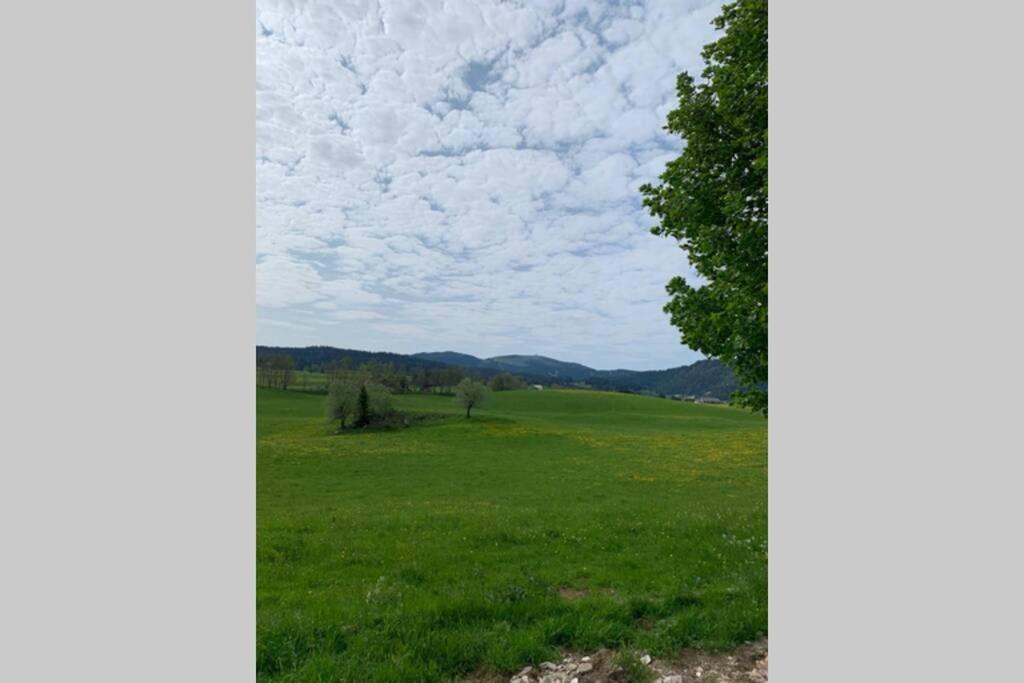 T2 Tout Confort, Depart Ski De Fond Depuis Le Jardin Apartament Les Rousses Zewnętrze zdjęcie