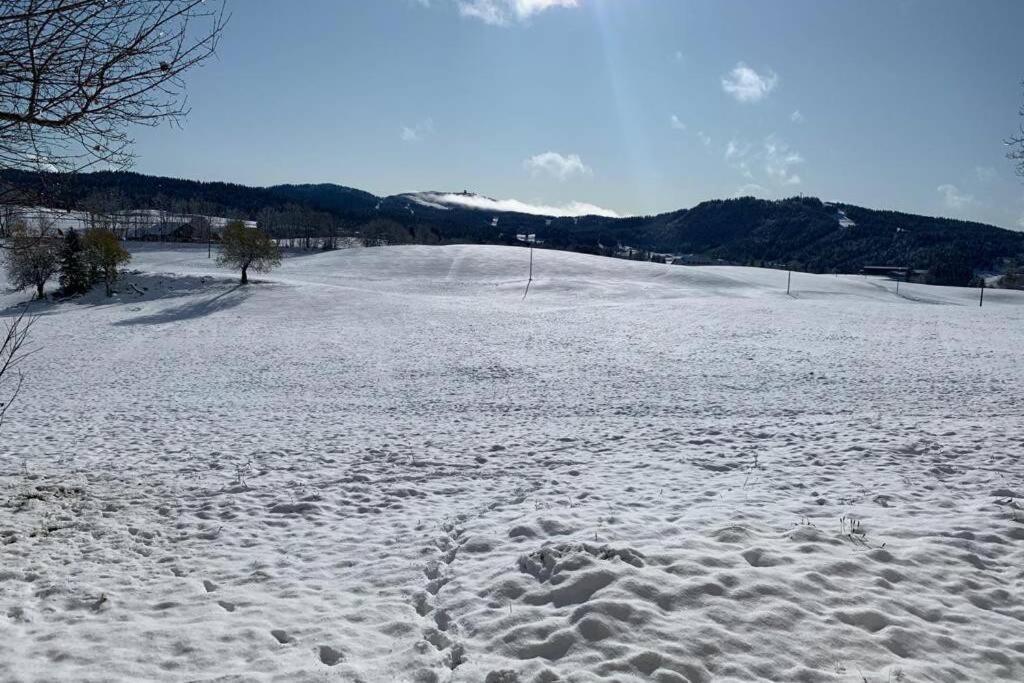 T2 Tout Confort, Depart Ski De Fond Depuis Le Jardin Apartament Les Rousses Zewnętrze zdjęcie