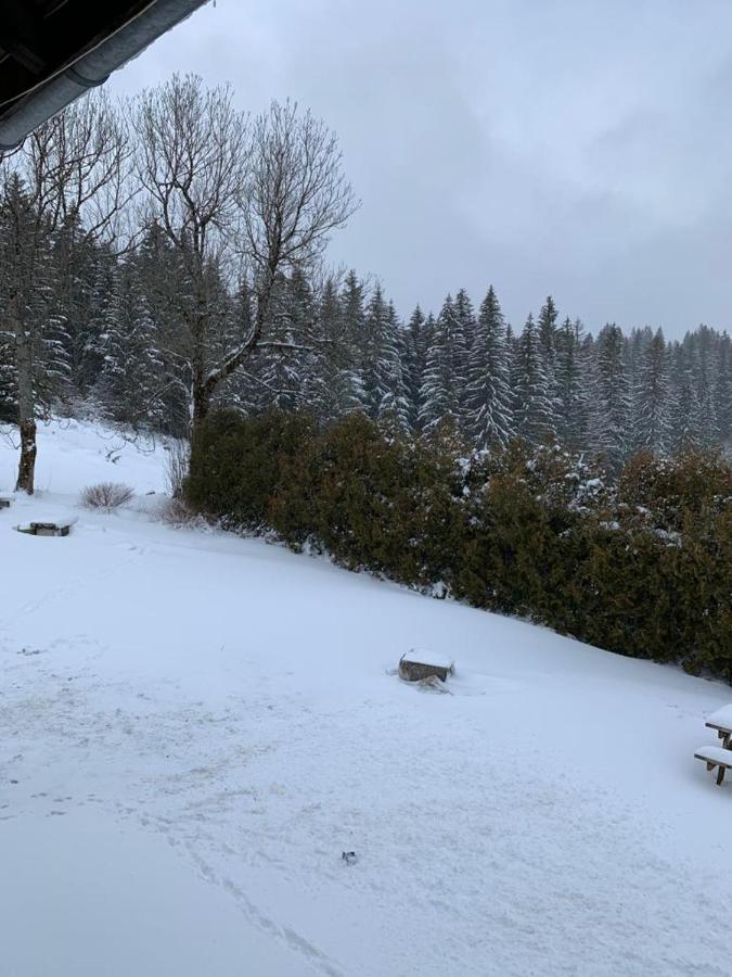 T2 Tout Confort, Depart Ski De Fond Depuis Le Jardin Apartament Les Rousses Zewnętrze zdjęcie